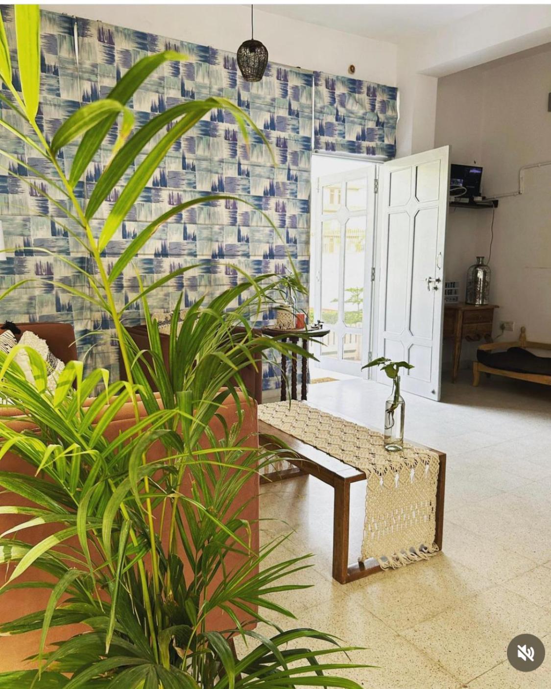 Solanki Farms & Pool Villa Garden Fully Private Divisione di Divisione di Jaipur Esterno foto