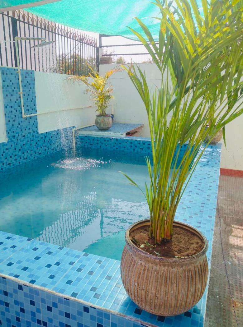 Solanki Farms & Pool Villa Garden Fully Private Divisione di Divisione di Jaipur Esterno foto